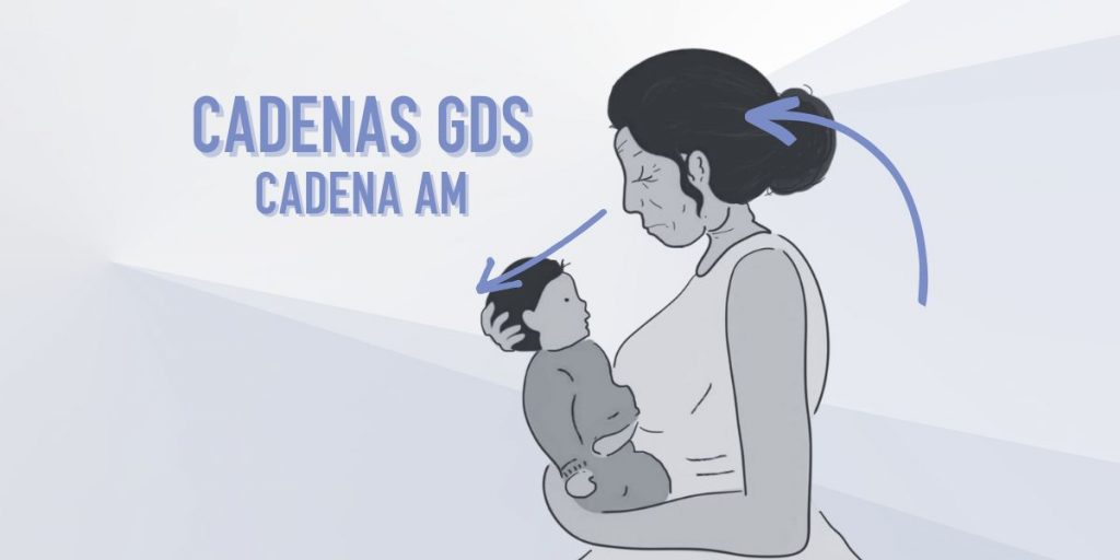 cadena gds am -la matriarca